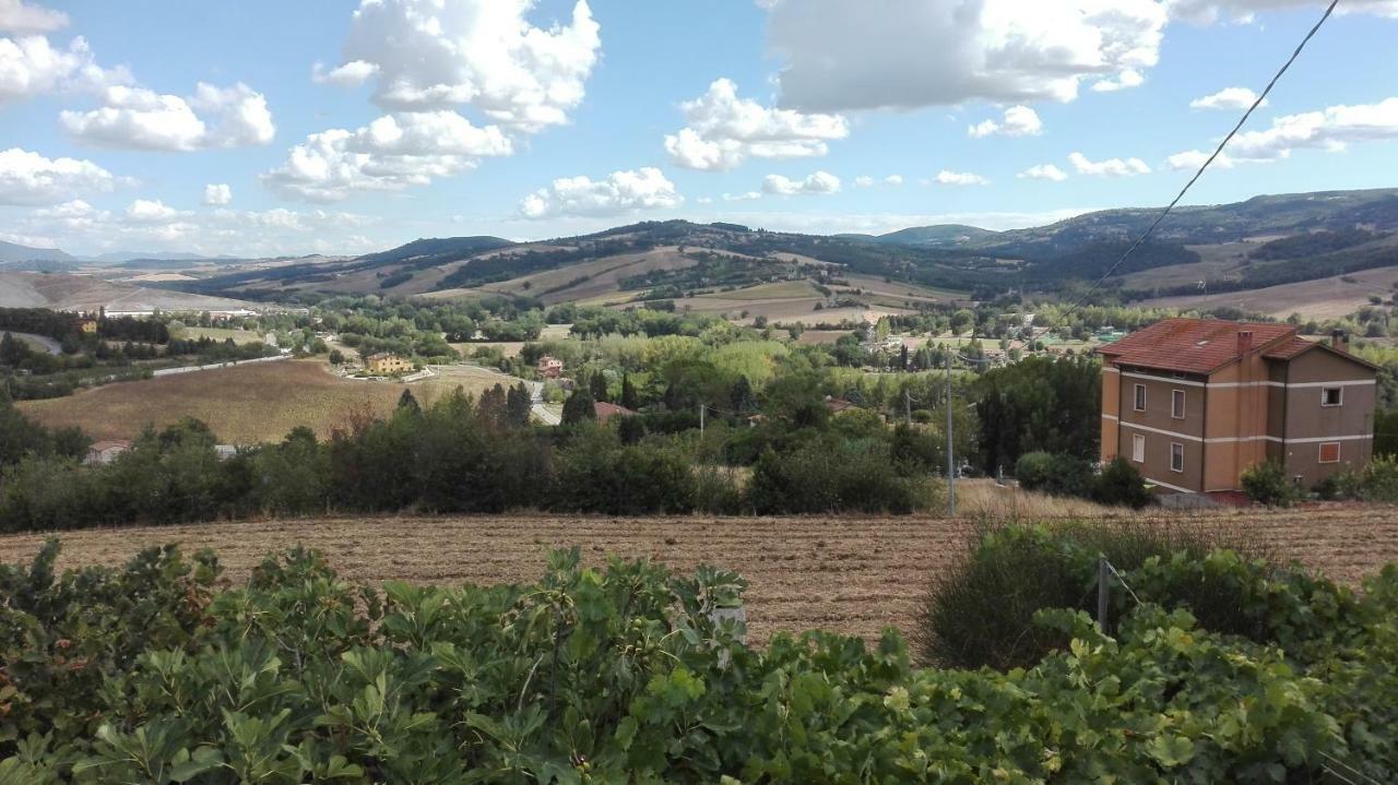 Вілла Agriturismo Cerquaglia Тоді Екстер'єр фото